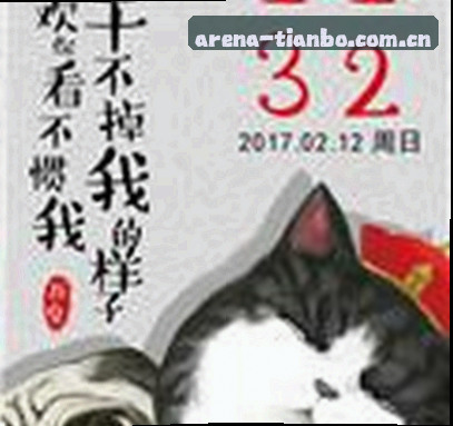 赵敏